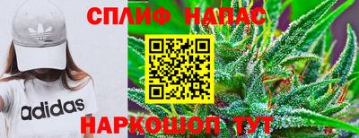 твердый Партизанск