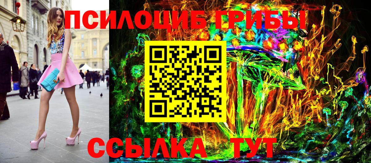 Псилоцибиновые грибы Psilocybine cubensis Кореновск
